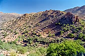 Marocco meridionale - Lungo la strada da Tiznit a Tafraoute. 